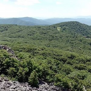 60 reactions · 8 comments | We get lots of questions about the best...