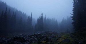 Backpackers Who Mysteriously And Tragically Disappeared