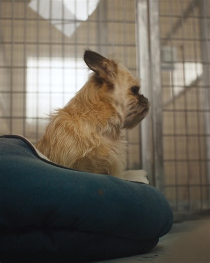 From finding communities that feel like home to launching dream businesses, Meta connects over 3.5 billion people to what matters. | Meta