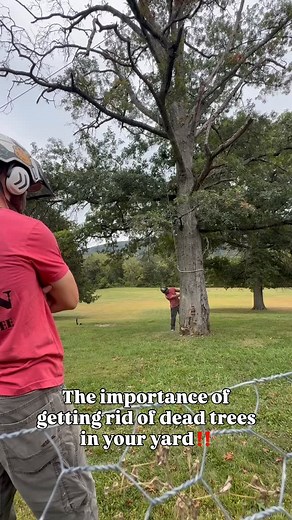 🌳 Why It’s Important to Remove Dead Trees 🌳 Dead or dying trees might look harmless, but they can be a serious danger to your home, property, and loved ones. ⚠️ As they weaken over time, they’re more likely to fall during storms or high winds — causing costly damage or even injury. Removing dead trees not only keeps your yard safe, but also protects surrounding trees from disease and pests. 🍂 If you’ve noticed a dead or declining tree on your property, don’t wait until it’s too late — reach o