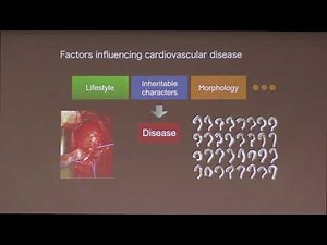 Application of immersed boundary method to environmental and biomedical problems - Hiroshi Suito