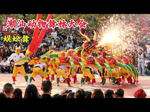 2026潮汕动物舞林大会｜闹春巡演｜独一无二｜蜈蚣舞｜麒麟舞｜双咬鹅舞……无奇不有｜精彩绝伦｜潮州大锣鼓｜标旗美女#潮汕民俗文化