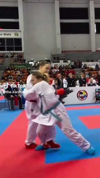 Master Karate Techniques for Kumite and Kata