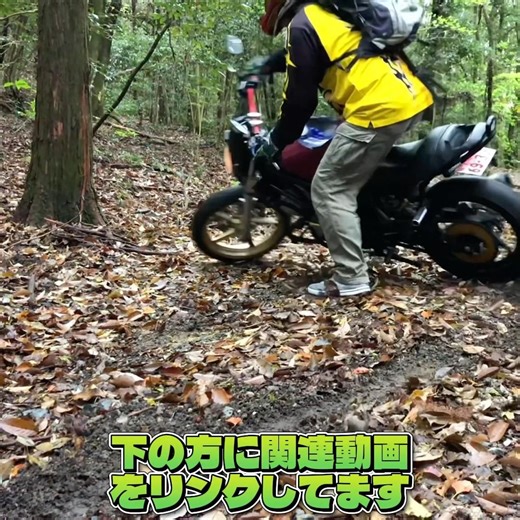 バイクで林道行った！ #vtr250 #オートバイ #モトブログ
