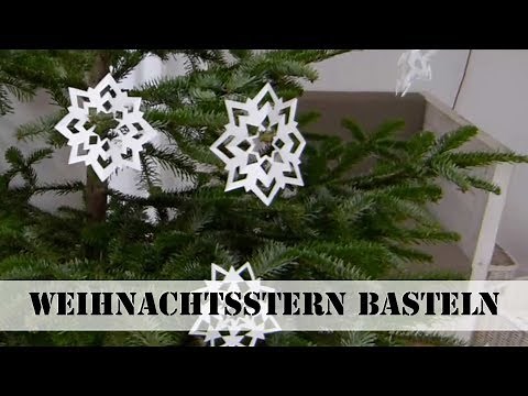 Scherenschnitt: Weihnachtsstern aus Papier basteln | selbst.de