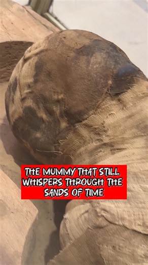 The Mummy That Still Whispers Through the Sands of Time Inside the Egyptian Museum rests a mummy that looks almost alive — its body perfectly wrapped in ancient linen, its head still darkened by sacred oils used over three thousand years ago. Every fold in the bandages carries a secret of the embalmers — men who believed they could stop decay and give the soul a body for eternity. Even now, her presence feels powerful — as if she’s only sleeping, waiting for her spirit to rise again. The silence