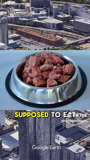 Top 10 Worst Dog Food Brands to Avoid in USA 2024 Part 2