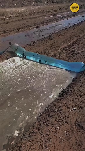 343K views · 722 reactions | This genius technique saves tons of water. Check out how farmers do it #education #explore #knowledge #explorepage #research #viralreel #trend #farming #UniqueTrick #irrigation | Amazing Facts | Facebook