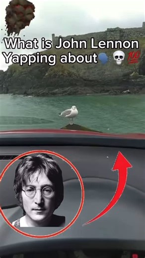Music funny on Instagram: "Lessee if this foocking seagull will eat this cuppa soup that I filled with bicarbonate of soda, hæhæhæhæ, WASHTHEFOOCKINGWEBFOOTWANKINGFOOCKING-WINGARSESHITEUPTHINGBLOWUP"