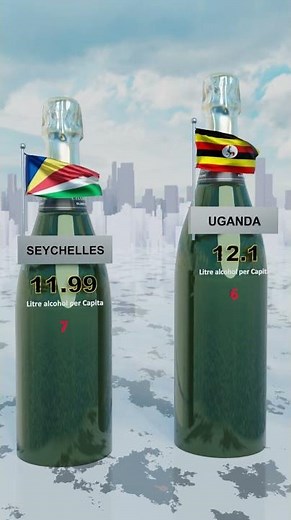 Top 10 Countries with the Highest ALCOHOL Consumption