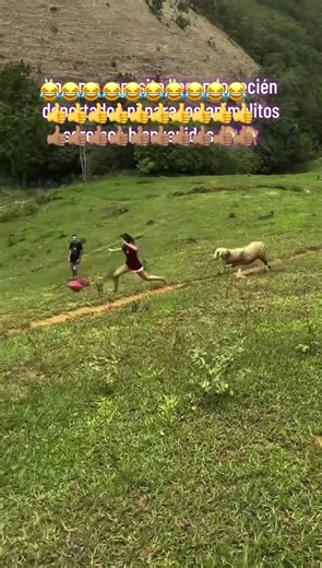 Fran Rivera (@franrivera68)’s videos with sonido original - Fran Rivera