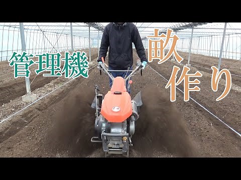 Use a cultivator to create ridges