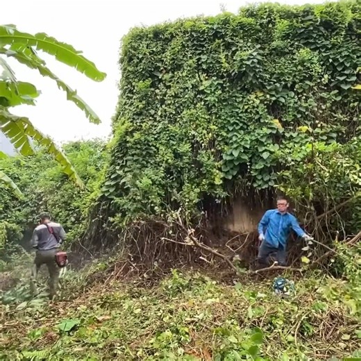 Transforming Grandpa's 80-Year-Old House by Cleaning and Removing Overgrown Vegetation - inspire - Part 1 #EpicCleanup #HistoryUncovered #LawnTransformation #cleaning #clean | CleanUp Crew