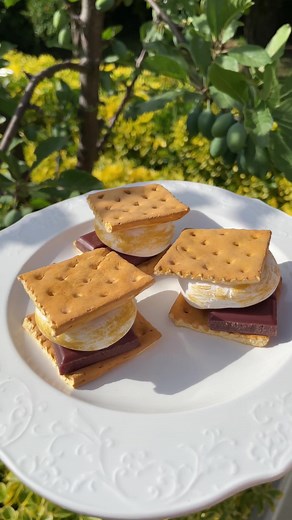 Miei s'mores golosissimi con slime