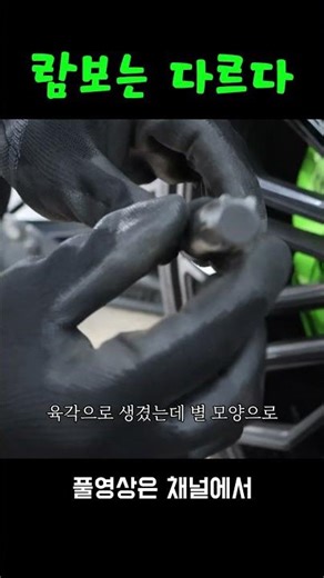 What makes Lamborghini different! It is a truly amazing fact.