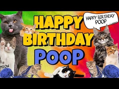 Happy Birthday Poop! Crazy Cats Say Happy Birthday Poop (Very Funny)