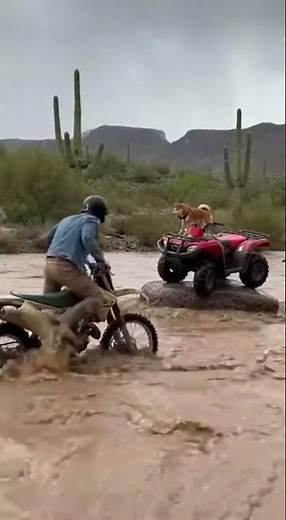 This Flash Flood Rescue Happened in SECONDS… and It’s Terrifying