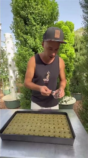 Why Aeroponic Farming Is Peak Efficiency 🌱 #aeroponics