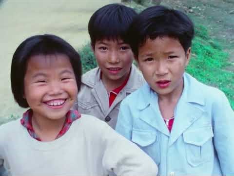 The Midnight Harvest | Historical Documentaries | Global Missions
