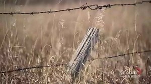 7.6K views · 23 reactions | The Saskatchewan government plans on revising the Trespass Act, but potential new rules could mean barriers for hunters. READ MORE: https://trib.al/VjgSyRy | Global Saskatoon | Facebook