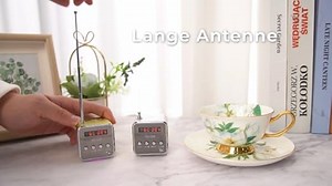 iplusmile Td-V26 Digital Mini Lautsprecher, Tragbare Radios, Mini Stereo mit Fm Mp3 Mp4 Micro Sd/Tf Karte/USB/Disk/Fm, Super Mini Lautsprecher mit 3,5mm Audio-Eingang(Grün)