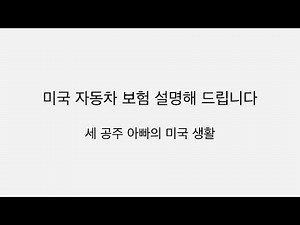 미국 자동차 보험 설명해 드립니다