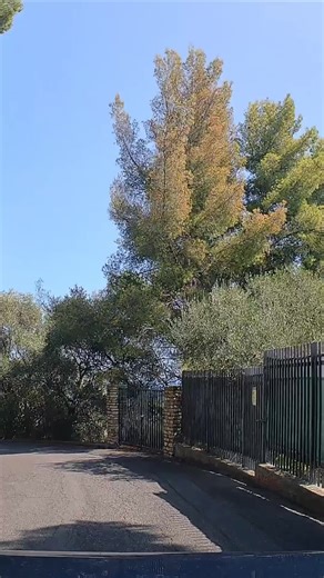 Legus🌴Drive 🚘 Movie 🎥 (@legusfilm)’s videos with Ca Plane Pour Moi - Plastic Bertrand & D.T.E & Deso Latee