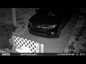 Smoky Mountains, Cades Cove area camera footage of local wildlife. November 2025