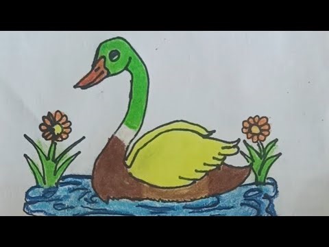 How to draw a duck with colour //easy step by step//