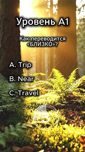 Translate These 4 Words! S3 Travel #10