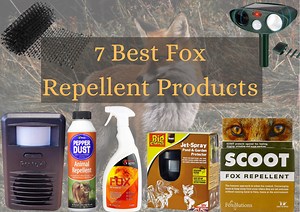 7 Best Fox Repellent Product Reviews To Keep Foxes Away