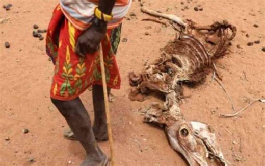 Government seeks Sh2b to rescue 3 million Kenyans facing starvation