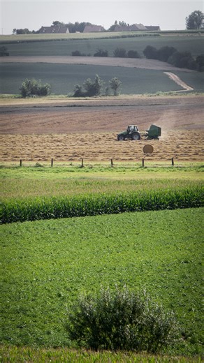 🚜 Chez REVOTEK, on optimise tous les types d’engins agricoles, quelle que soit la marque de ton tracteur : John Deere, Fendt, New Holland, Massey Ferguson, Claas, Case IH, Valtra… et bien d’autres. 👉 Nos solutions s’adaptent à chaque machine pour t’accompagner au quotidien dans ton exploitation. #optimisationmoteur #tracteur #agriculture #bio #exploitation #carburant #ferme #fendt | Revotek
