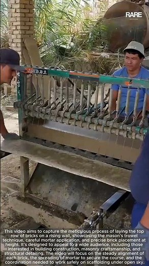 Clay Brick Production: Modern Machine Shapes and Cuts Bricks