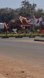 3 million Tons target achieved | Ba Mwinsho