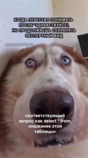 Yeah, so we're learning and understanding something?) #qa Sharing knowledge on #SQL! #tester #tes...