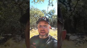 Buffalo vs Bison: What's the Difference?