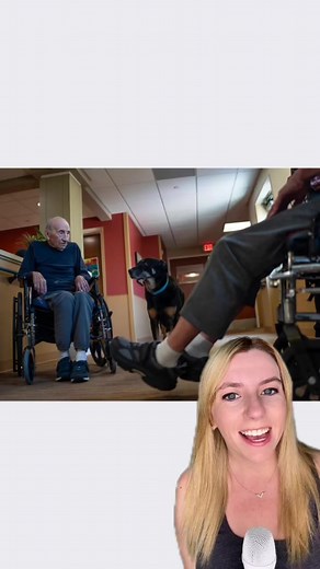 2.3M views · 209K reactions | Scout the dog escaped a shelter three...