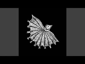 Tarsier, Tarsier, Tarsier, Tarsier