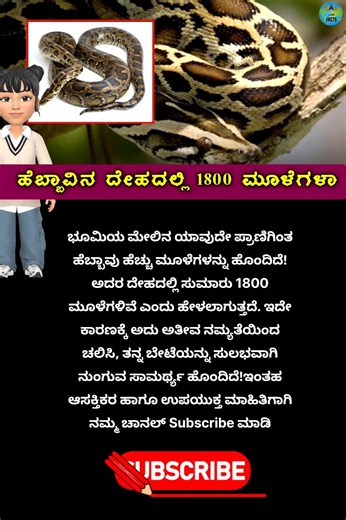 #SnakeFacts #PythonSnake #AmazingFacts #AnimalFacts #Wildlife #NatureFacts #FactShorts #DidYouKnow