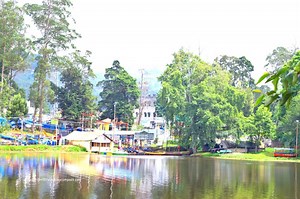 3 days in Kodaikanal - Princess of Hill stations - The Revolving Compass