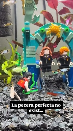 ✨ The perfect fish tank… it's magical! ⚡🐠 Who said only wizards can have fantastic creatures? This Harry Potter-inspired fish tank turns any corner into a corner of Hogwarts. Ideal for fans who want to bring a little piece of the magical world home. Would you dare to have one? 🧙‍♂️🏰 #HarryPotter #GeekDecoration #MagicalFishTank #HogwartsVibes #Potterhead #FreakyStyle #CreativeIdeas #FreakyRoom #OriginalDecoration #magicathome | Harry Potter fans ϟ