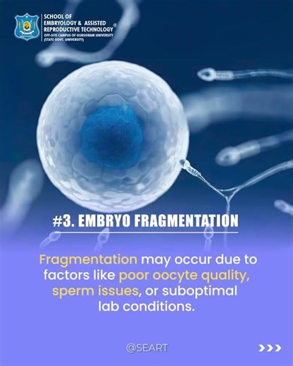 What Is Embryo Fragmentation in IVF? | Clinical Embryology Explained | SEART