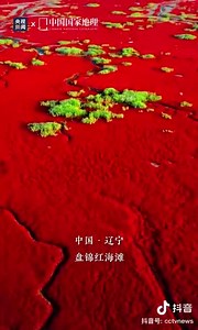 The #RedBeach in #Panjin, NE #China's #Liaoning Province: a landscape featuring the red plant of Suaeda salsa. Can't marvel too much at nature's wonder! | Wang Wenbin Chinese Ambassador to the Kingdom of Cambodia 汪文斌