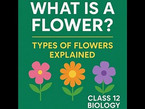 What is a Flower? 🌸 | Types of Flowers Explained | Class 12 Biology