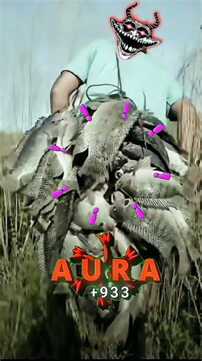 A MAN CATCH MANY FISHE'S 😲😲