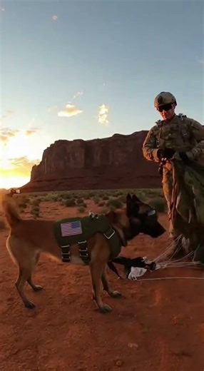 Watch This K9 Glide Over a Canyon to a Desert Landing