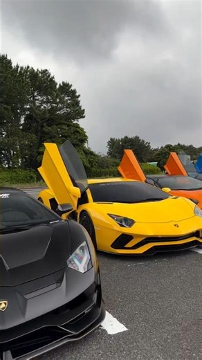 How Many Crores in This Lamborghini SVJ Lineup? Guess the Price!#cars #lambo