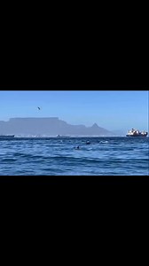 7.8K views · 306 reactions | When Mother Nature ensures your birthday swim is extra special | BigBayEvents | Facebook