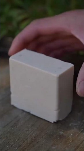 The TREE That GROWS SOAP! 🤯 Amazing Facts About Soap Nuts (Reetha)